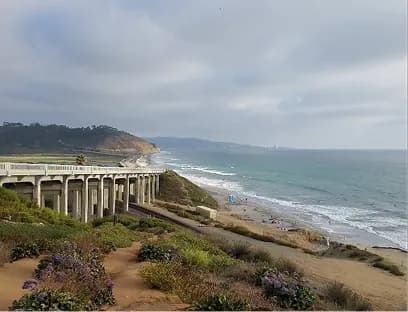 Torrey Pines State Beach
